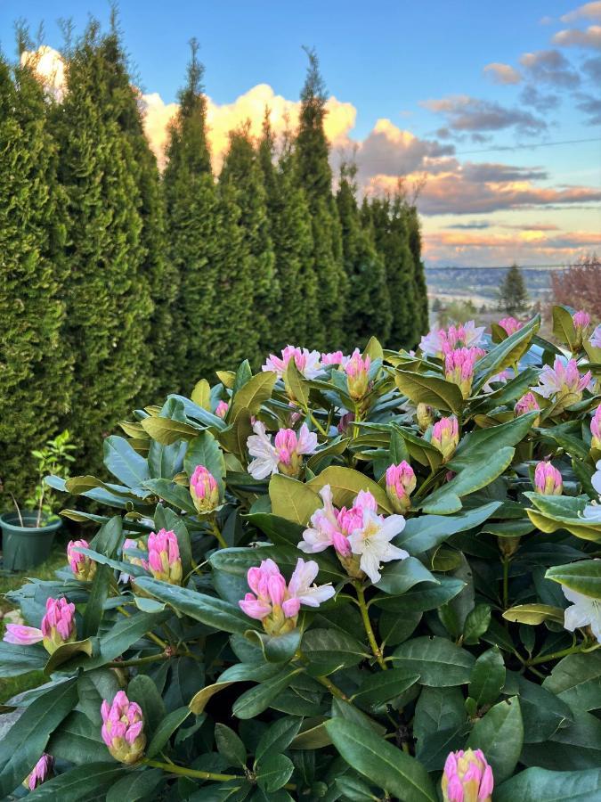 Lovely J Home -Stunning River View Cozy Two Bedroom Private Suite New Westminster Esterno foto